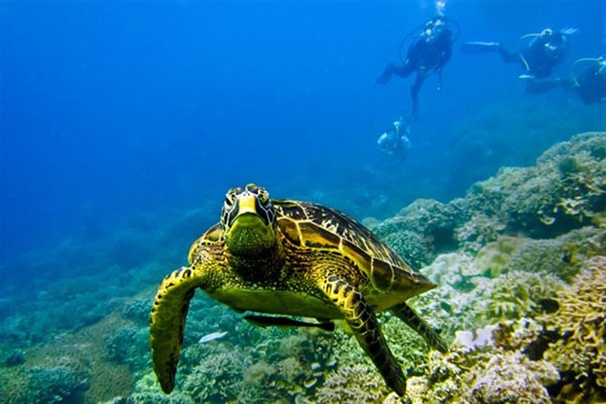 Kisite Marine Park Private Boat Snorkeling with breakfast & Lunch - The early road journey from Malindi to Shimoni
