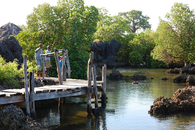 Kisite Marine Park Private Boat Snorkeling with breakfast & Lunch - Lunch on Wasini Island