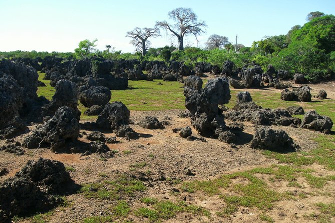 Kisite Marine Park Private Boat Snorkeling with breakfast & Lunch - The Shimoni Slave Caves on the return