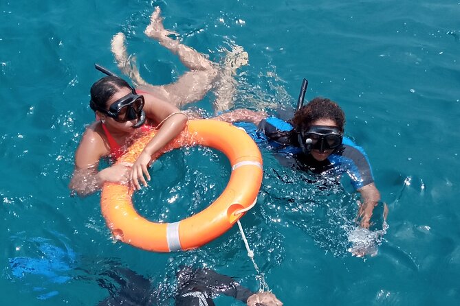 Kisite Mpunguti Day Trip. A day of Oceanic Wonders - Practical Advice for a Better Day