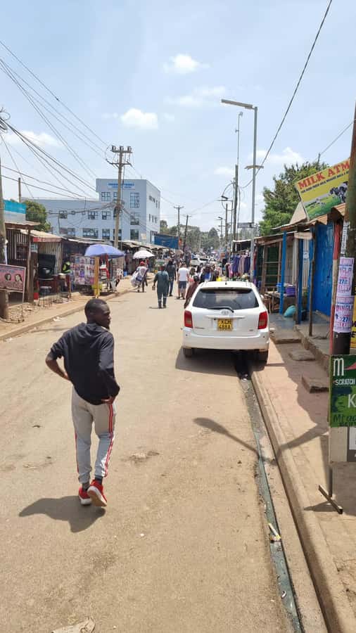 Kisumu City Centre Walking Tour - Extending the day to Dunga fishing village