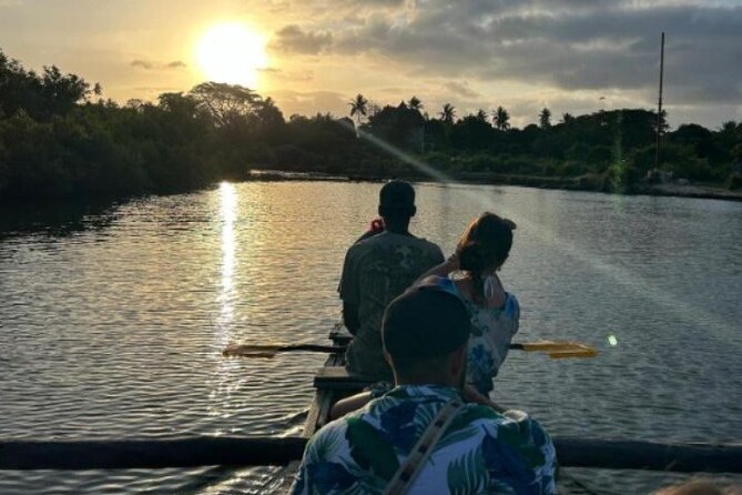 Kongo River Sunset Experience in Canoe - Birdlife in the mangrove channels