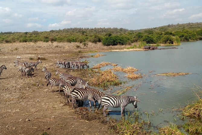 Lake Naivasha And Lake Nakuru Overnight Tour - Lake Naivasha changes the pace
