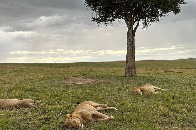 Lake Naivasha And Lake Nakuru Overnight Tour - The overnight stop keeps the route practical