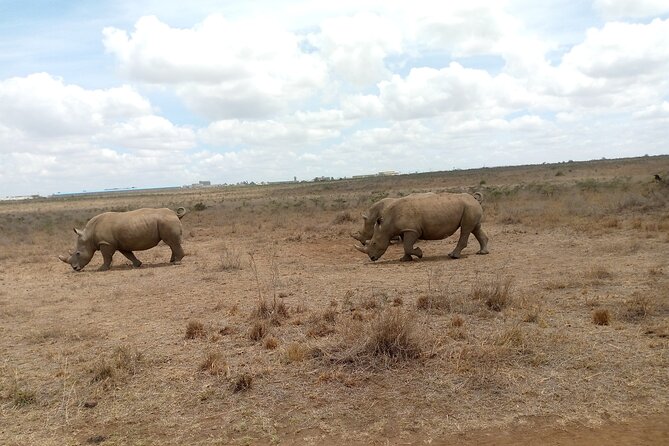 Lake Naivasha And Lake Nakuru Overnight Tour - Lake Nakuru is the wildlife centerpiece