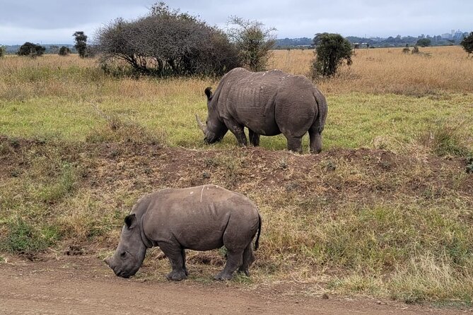 Lake Naivasha And Lake Nakuru Overnight Tour - What the $315 price really covers