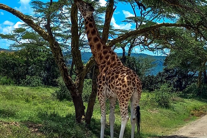 Lake Naivasha And Lake Nakuru Overnight Tour - Who will enjoy this tour most