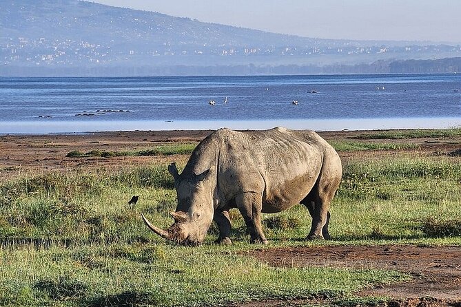 Lake Naivasha And Lake Nakuru Overnight Tour - The Great Rift Valley viewpoint sets the tone