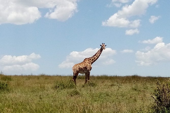 Lake Naivasha & Crescent island day trip. - Hell’s Gate: cliffs, cycling, and free-roaming animals