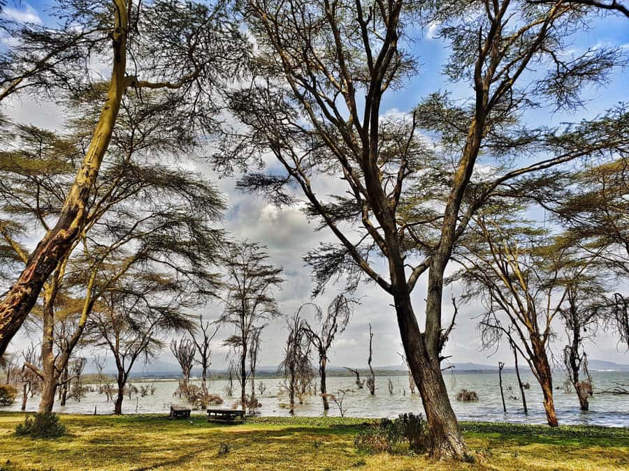 Lake Naivasha: Crescent Island Game Sanctuary - Why this is not a typical Nairobi day trip