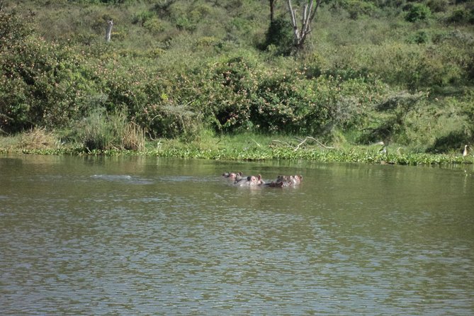 Lake Naivasha day tour including the crescent island - The Great Rift Valley viewpoint sets the scene
