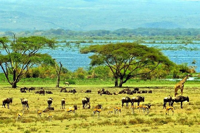 Lake Naivasha day tour including the crescent island - Crescent Island is the day’s main event