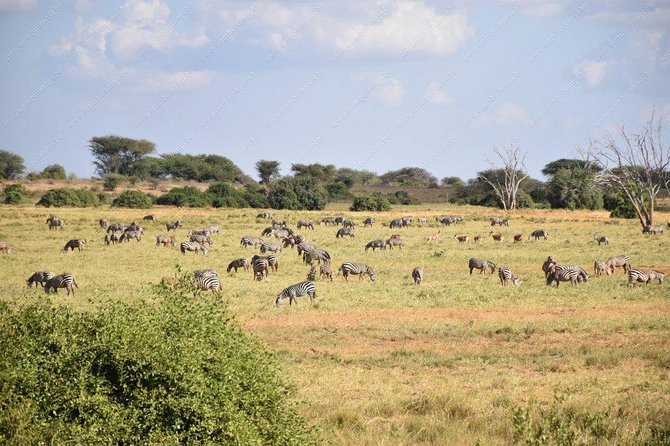 Lake Naivasha day tour including the crescent island - What the animal encounters are really like