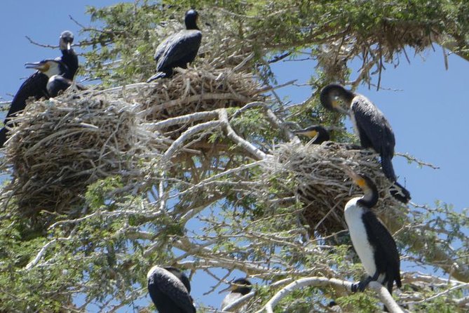 Lake Naivasha day tour including the crescent island - Guides can make or break a long day