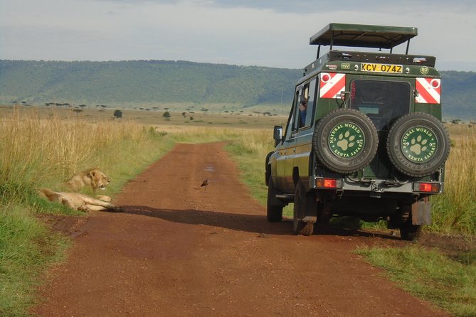 Lake Nakuru, Naivasha & Masai Mara 4 Days Private Jeep Safari - Day one: the Great Rift Valley, Lake Naivasha, and Lake Nakuru