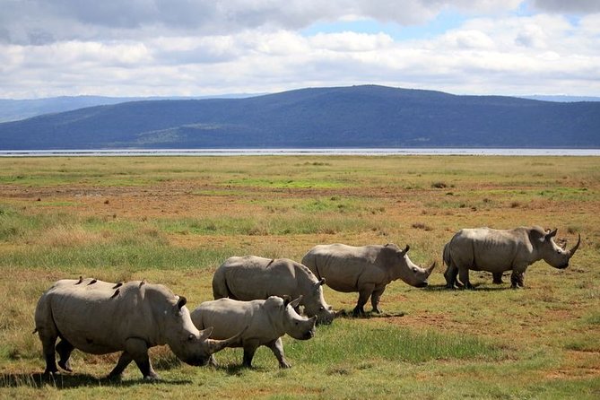 Lake Nakuru National Park & Boat Ride at Lake Naivasha Day Tour From Nairobi - Leaving Nakuru and continuing toward Naivasha