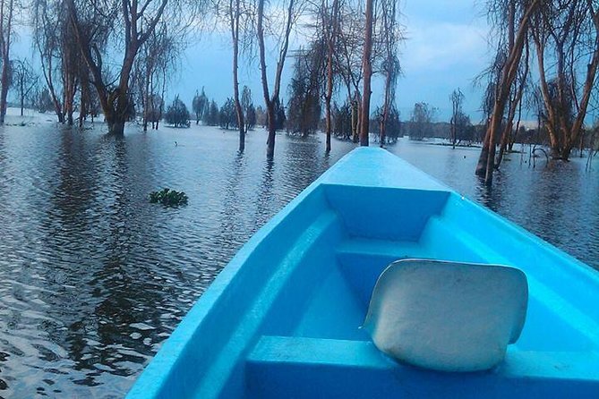 Lake Nakuru National Park Day Tour Via Lake Naivasha - Lake Naivasha boat cruise