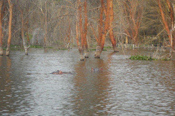 Lake Nakuru National Park Day Tour Via Lake Naivasha - What the $150 price really covers
