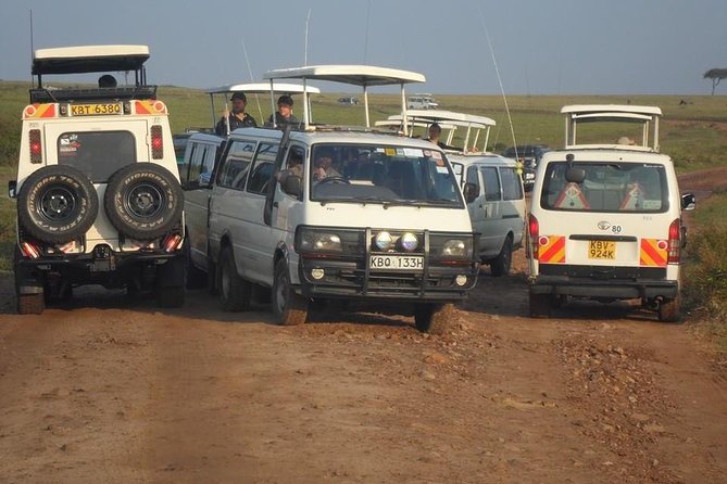 Lake Nakuru National Park Day Tour Via Lake Naivasha - Who should book this experience