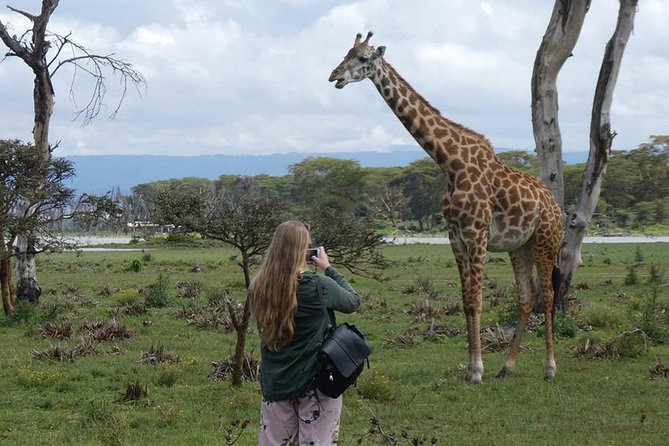 Lake Nakuru National Park: Day Trip from Nairobi - Comfort, group size, and the vehicle question