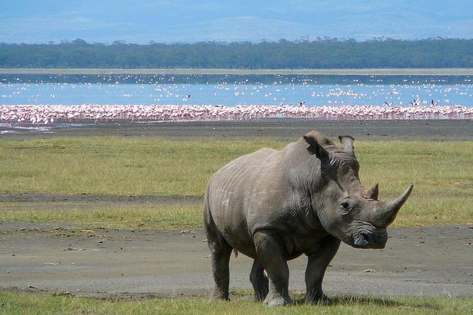 Lake Nakuru National Park: Day Trip from Nairobi - Who will enjoy this trip most