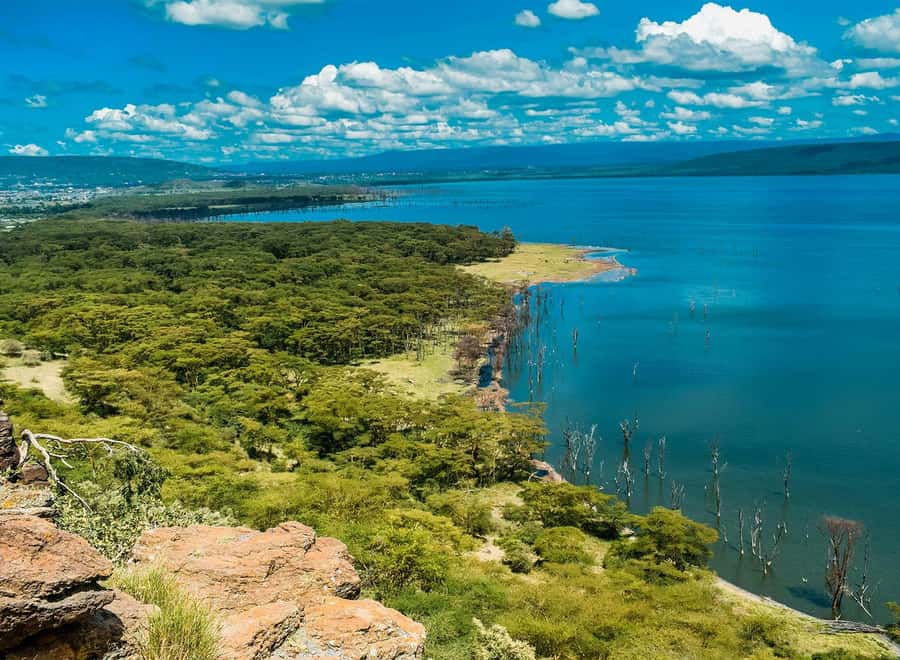 Lake Nakuru National Park: Daytrip in a 4X4 Private Jeep - Why Lake Nakuru works as a one-day safari