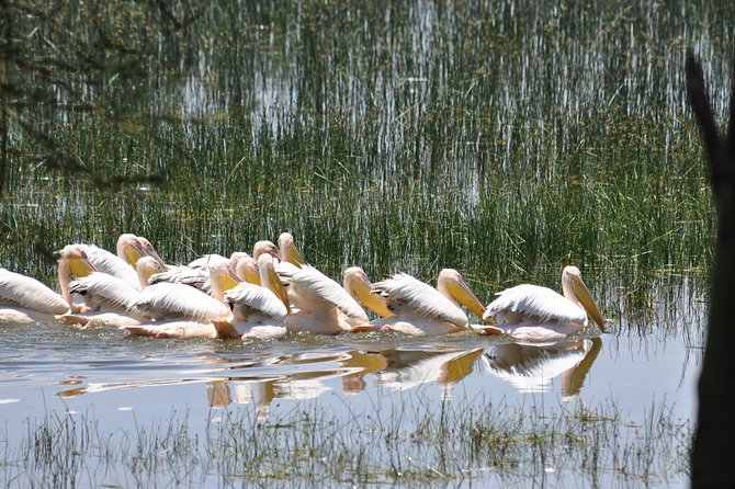 Lake Nakuru National Park daytrip - Great Rift Valley views before the park
