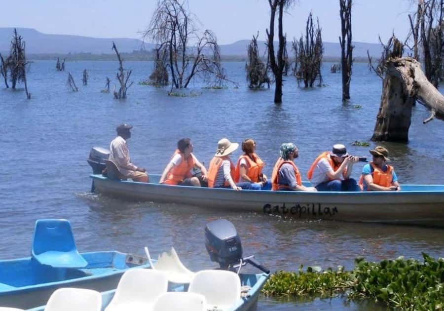 Lakes Nakuru& Naivasha National Park Wildlife Highlights - From Nakuru to Naivasha: a change of pace