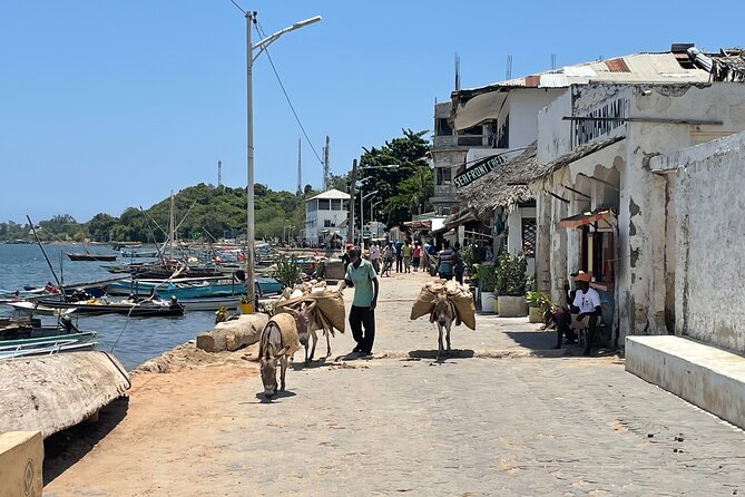 Lamu Old Town Walking Tour - Lamu Museum and a palace turned museum