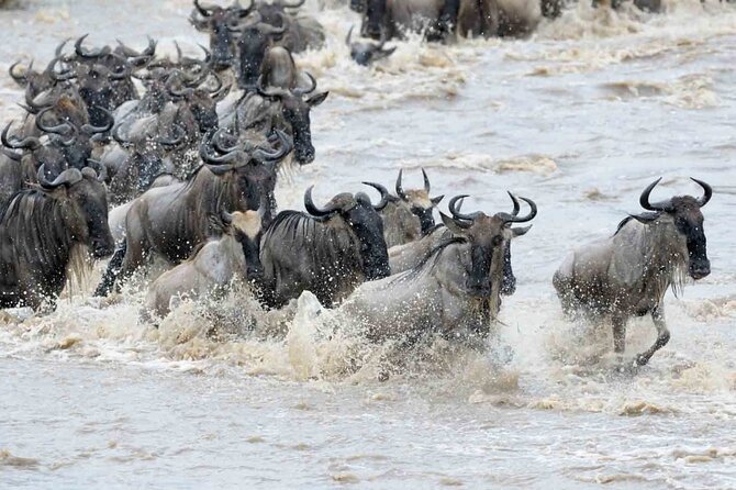 Maasai Mara 3 Day Guided Tour - The road from Nairobi to the Great Rift Valley