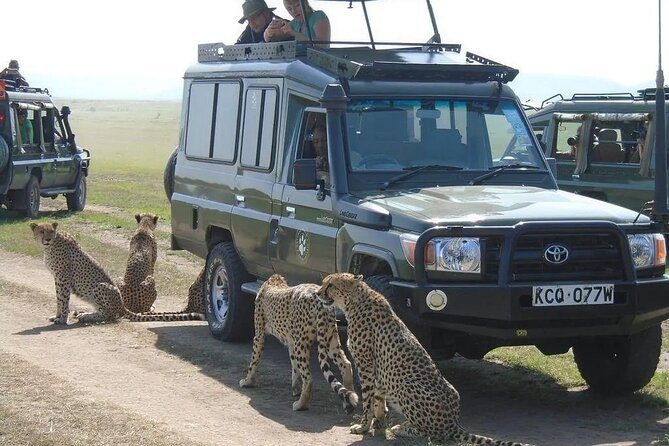 Maasai Mara 3 Day Guided Tour - A private tour with a practical advantage