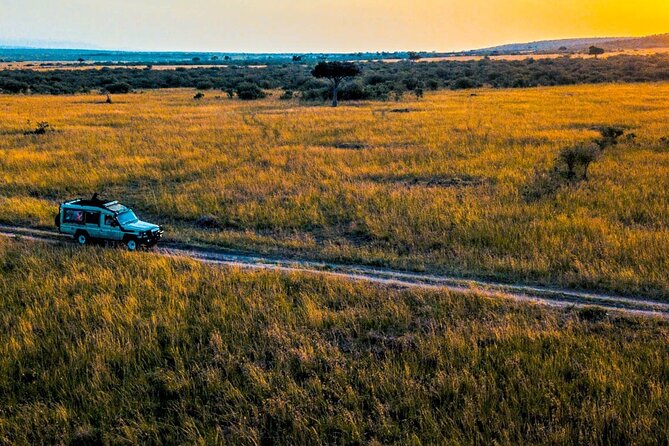 Maasai Mara 3 Day Guided Tour - What the strongest feedback tells you
