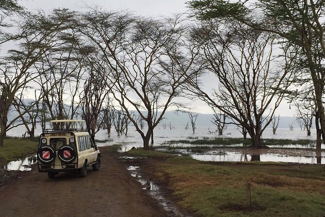 Maasai Mara Day Trip - What the game drive feels like in practice