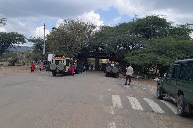 Maasai Mara Day Trip From Nairobi - Comfort, group size, and what to pack