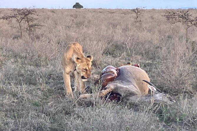 Maasai Mara Day Trip From Nairobi - The 4:00 or 5:00 a.m. pickup needs confirmation