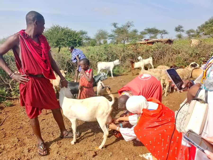 Maasai Village: Cultural Experience of The Maasai Tradition - From Nairobi streets to open Kenyan scenery