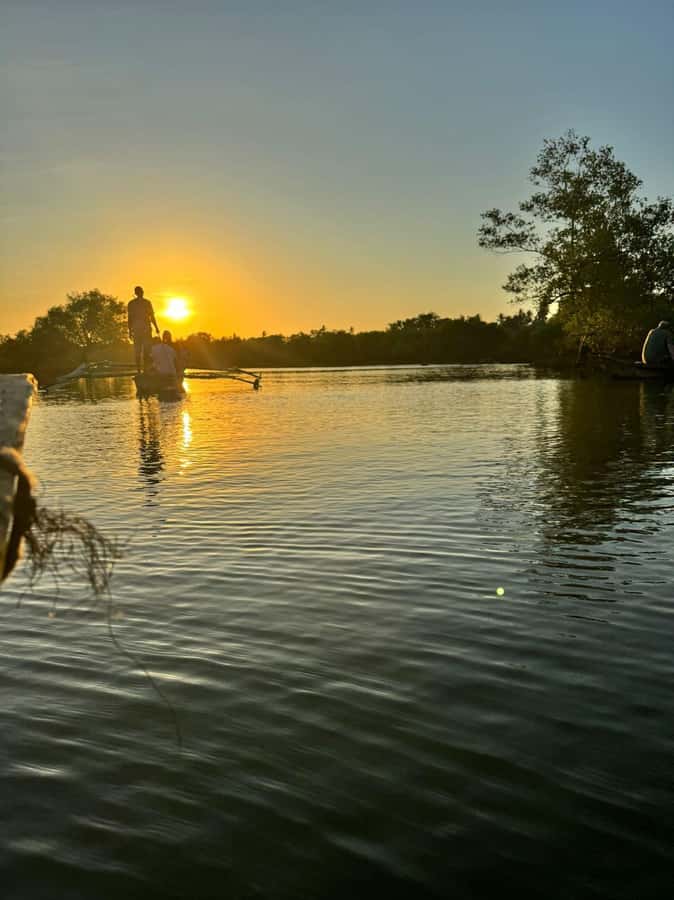 mangrove tour - Key points before you book