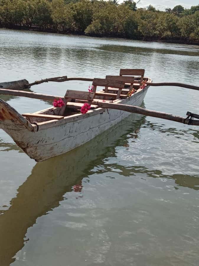 mangrove tour - What the $65 price really covers