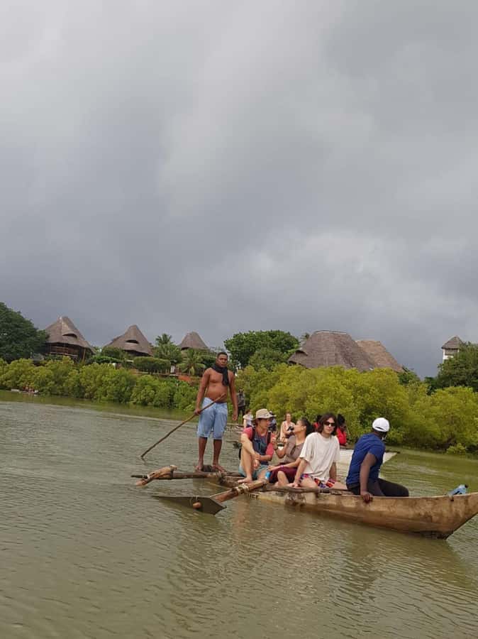 mangrove tour - Who will enjoy this quiet two-hour outing?