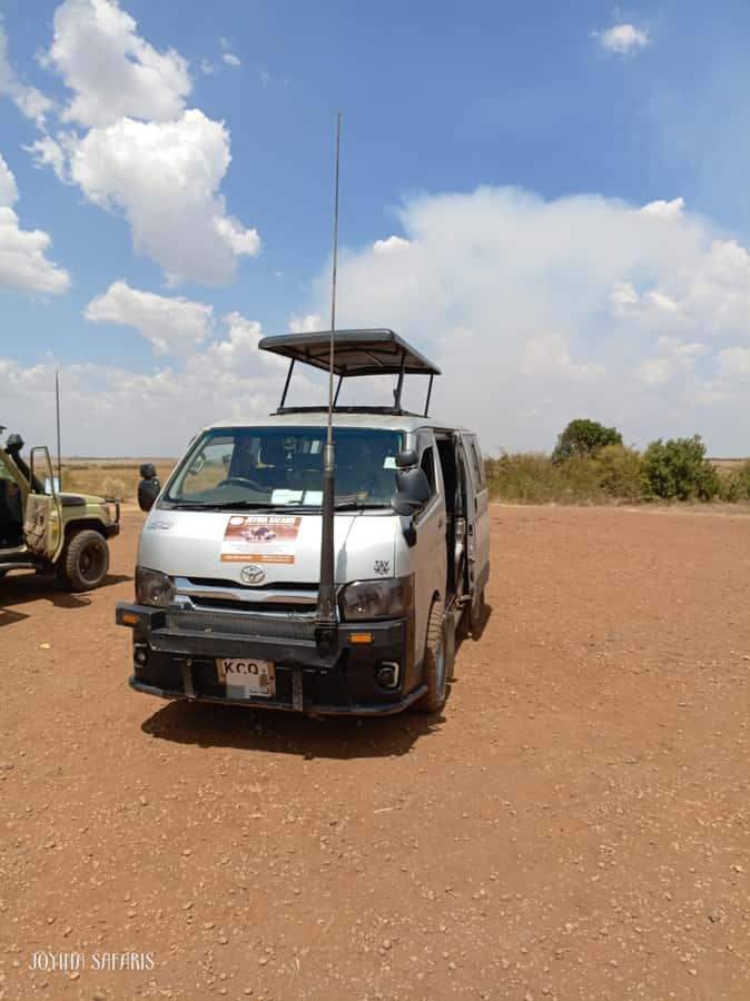 Masai Mara: 3-Day Group Joining Safari by Land Cruiser - Day two: a full day with the Big Five in mind