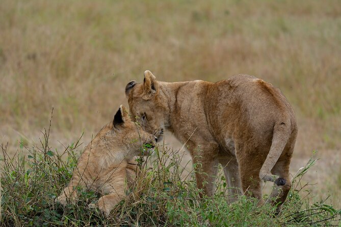 Masai Mara 3Days Safari Adventure - Day three: Mt. Longonot and three ways back to Nairobi
