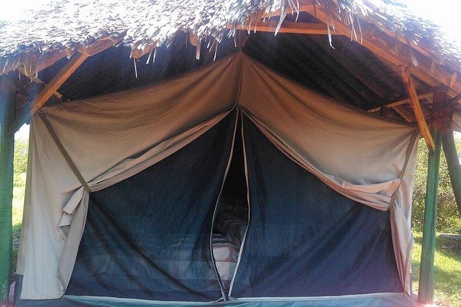 Masai Mara Budget 2 nights tented camp road Safari - The vehicle, private format, and guide quality