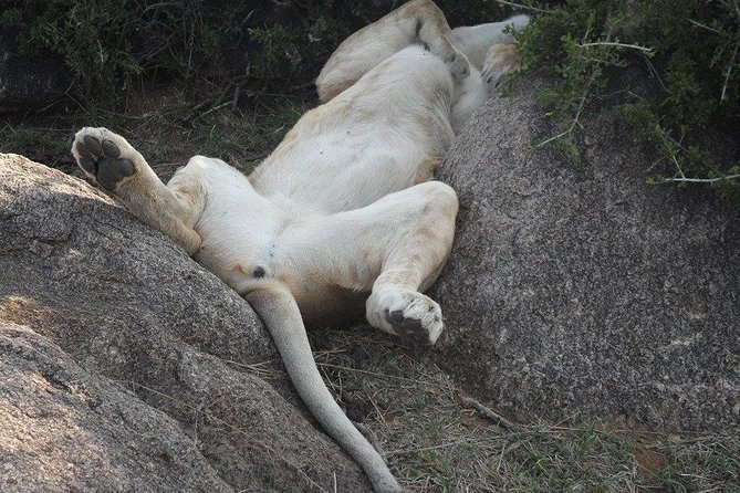 Masai Mara Budget 2 nights tented camp road Safari - What is not included, and how to budget