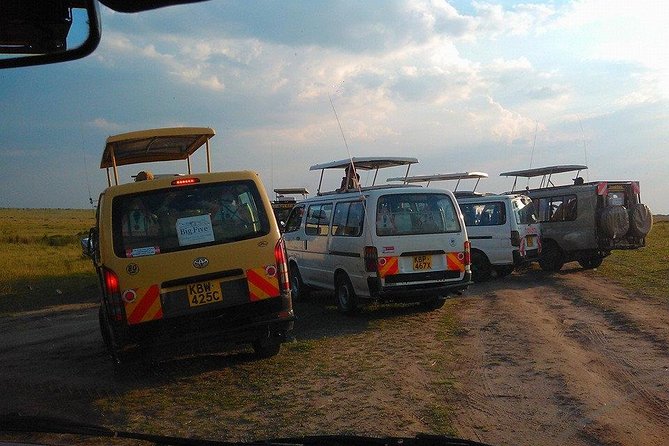 Masai Mara Budget 2 nights tented camp road Safari - Who will get the most from this trip