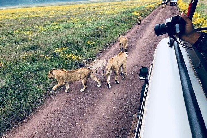 Masai Mara classic safari with optional Masai Village - Is the $2,500 price fair?