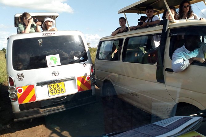 Masai Mara Full Day Tour from Nairobi, Naivasha or Nakuru - Looking for the Big Five during the game drive