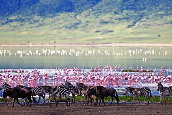 Masai Mara Game Reserve Safari Tour, 4 Days 3 Nights - What the $1,283.79 price really covers