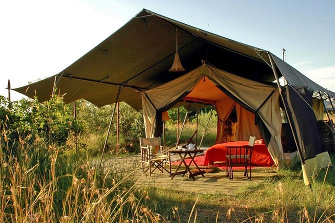 Masai Mara Game Reserve Safari Tour, 4 Days 3 Nights - Day 2: A full day among Mara wildlife