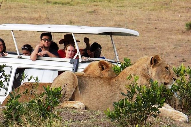 Masai Mara Game Reserve Safari Tour, 4 Days 3 Nights - Accommodation: confirm the lodge, not just the category