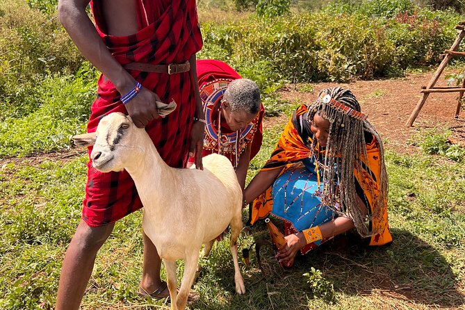 Masai village Cultural afternoon Experience - Why this Maasai afternoon feels different